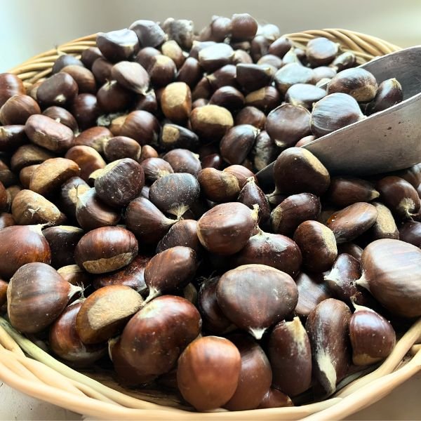 Castagne borghetto molo borbera da pina