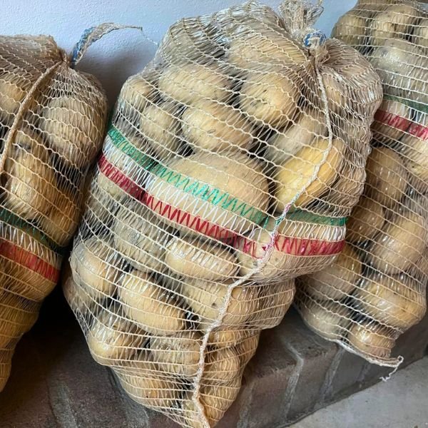 Patate km 0 Molo di Borbera Borghetto