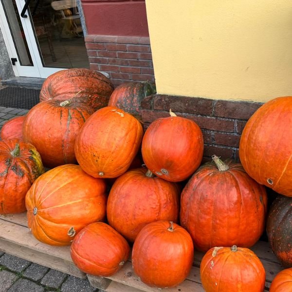 Zucche borghetto molo borbera da pina